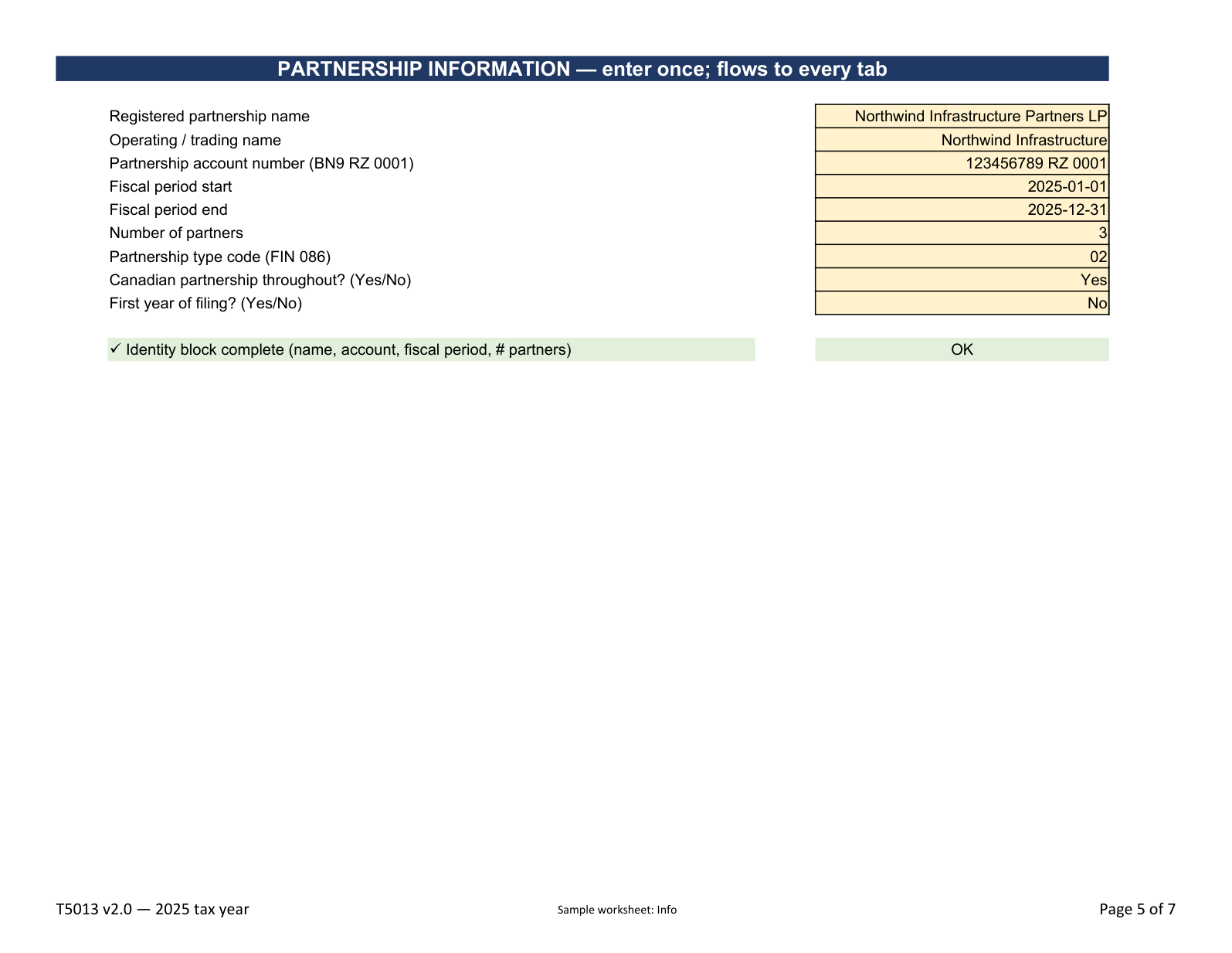 Info: Partnership information, fictional T5013 workbook example